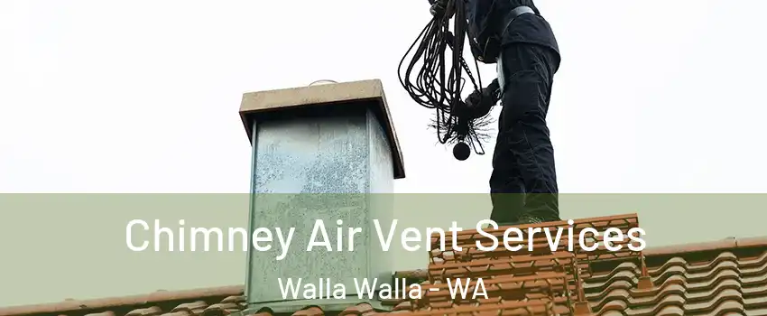  Chimney Air Vent Services Walla Walla - WA