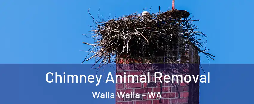  Chimney Animal Removal Walla Walla - WA