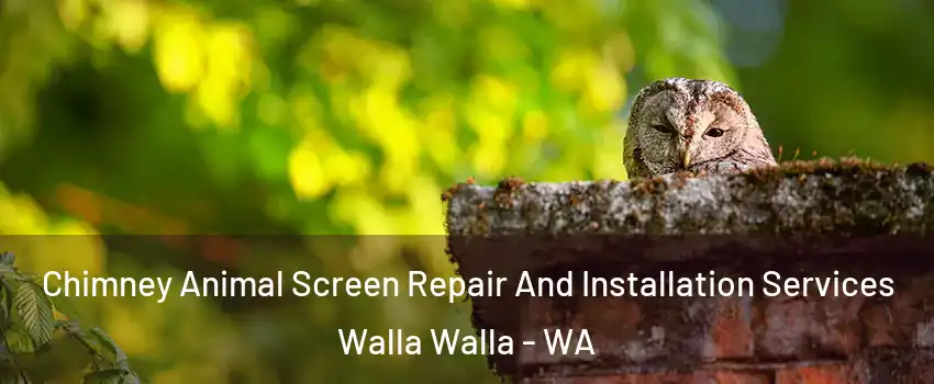  Chimney Animal Screen Repair And Installation Services Walla Walla - WA