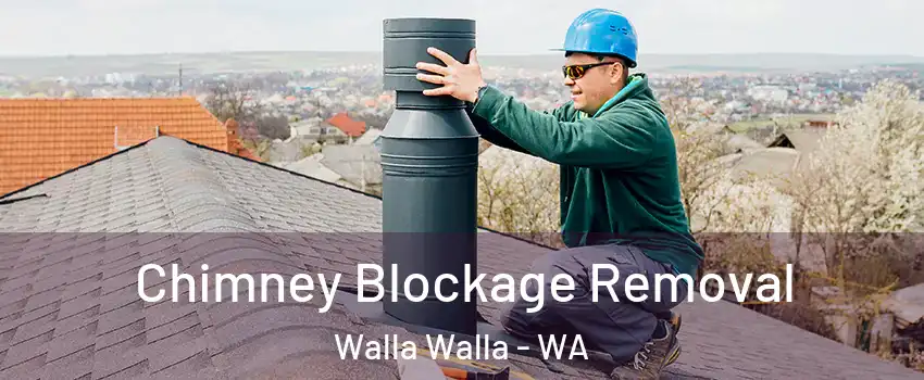  Chimney Blockage Removal Walla Walla - WA