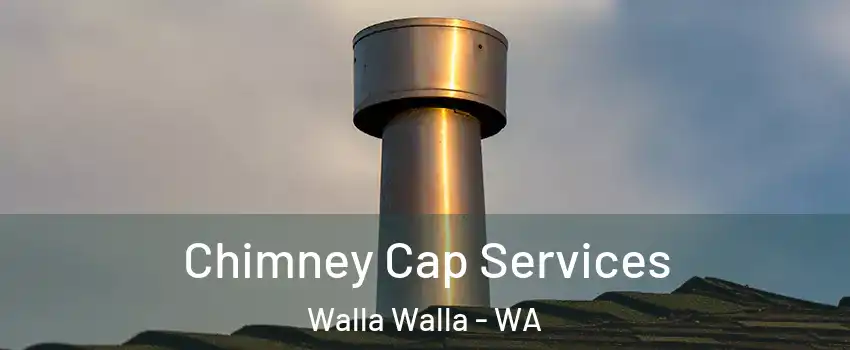  Chimney Cap Services Walla Walla - WA