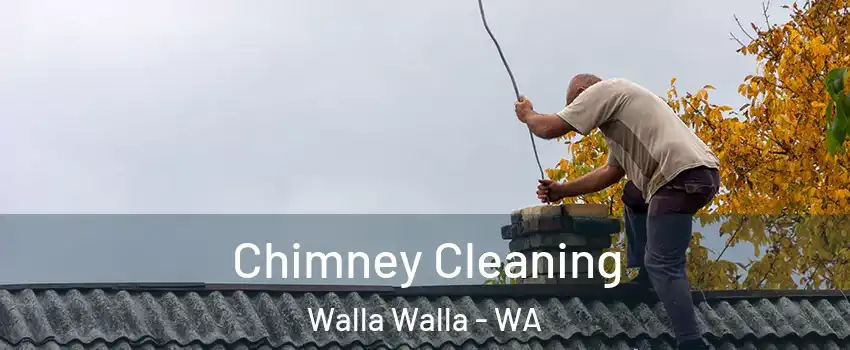  Chimney Cleaning Walla Walla - WA