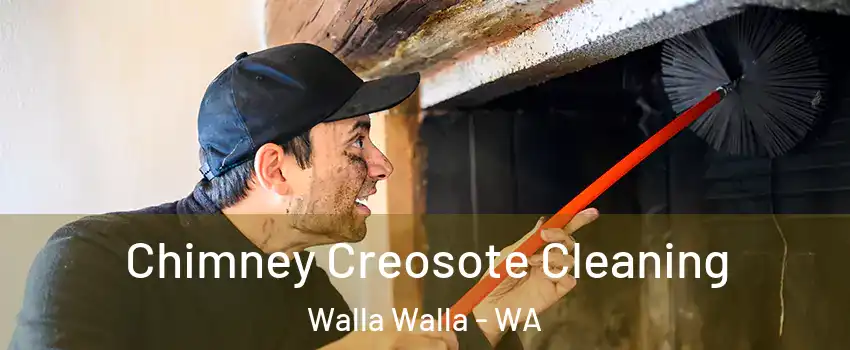  Chimney Creosote Cleaning Walla Walla - WA