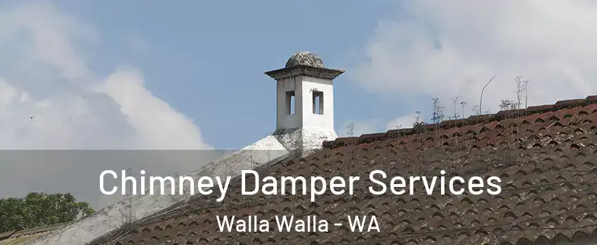  Chimney Damper Services Walla Walla - WA