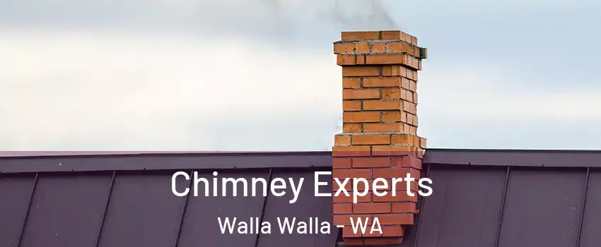 Chimney Experts Walla Walla - WA