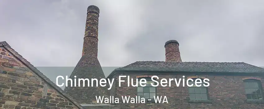  Chimney Flue Services Walla Walla - WA
