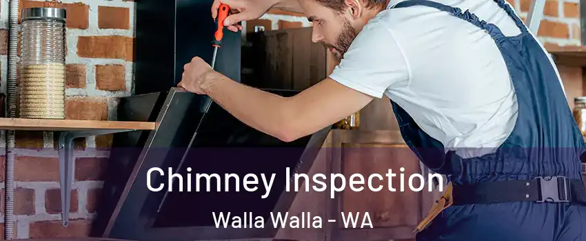  Chimney Inspection Walla Walla - WA