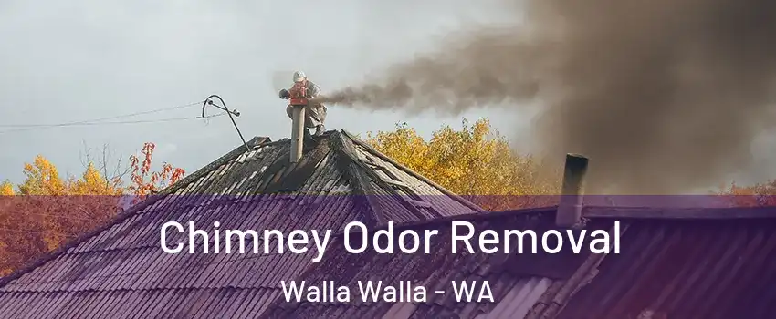  Chimney Odor Removal Walla Walla - WA
