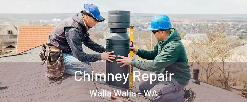  Chimney Repair Walla Walla - WA
