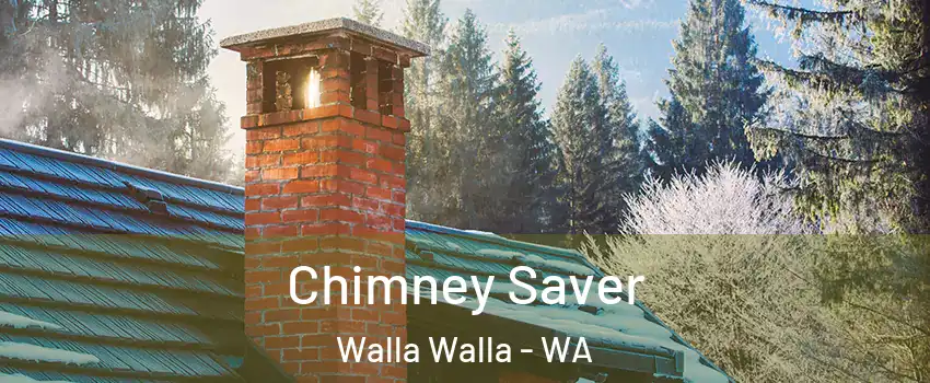  Chimney Saver Walla Walla - WA