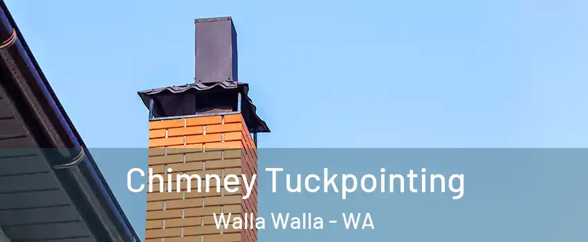  Chimney Tuckpointing Walla Walla - WA