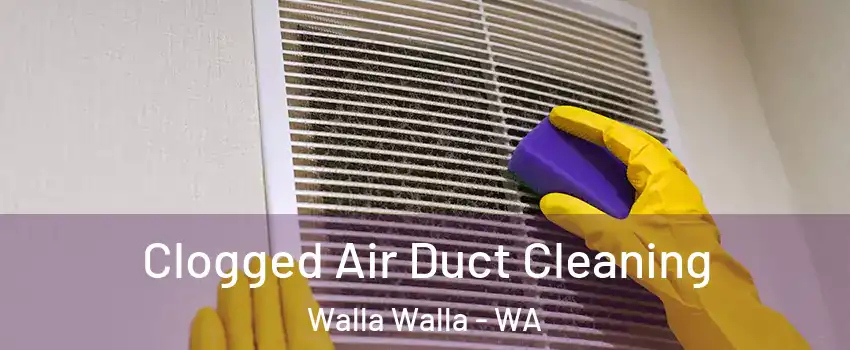 Clogged Air Duct Cleaning Walla Walla - WA