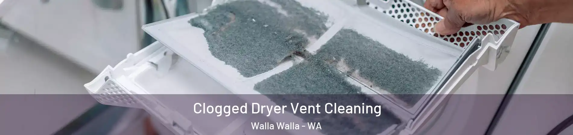  Clogged Dryer Vent Cleaning Walla Walla - WA