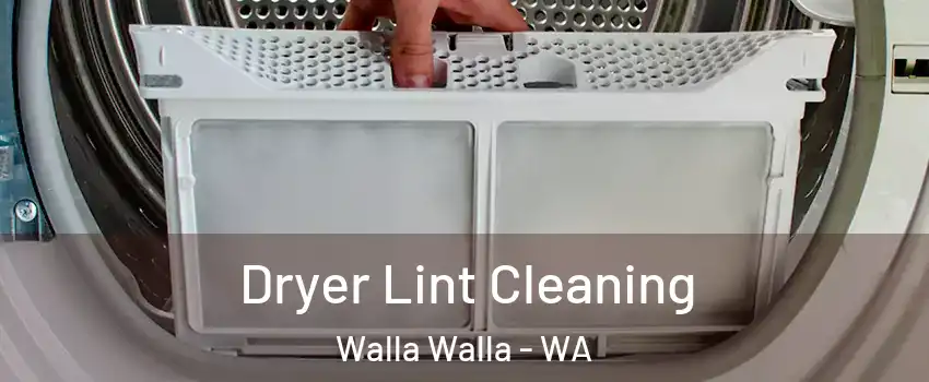  Dryer Lint Cleaning Walla Walla - WA