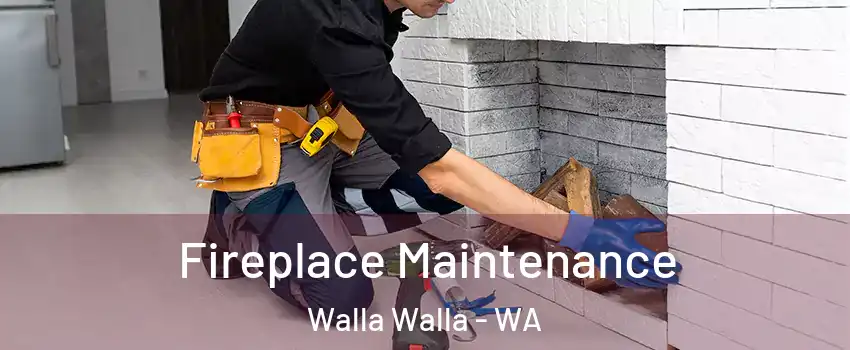  Fireplace Maintenance Walla Walla - WA