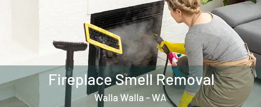  Fireplace Smell Removal Walla Walla - WA