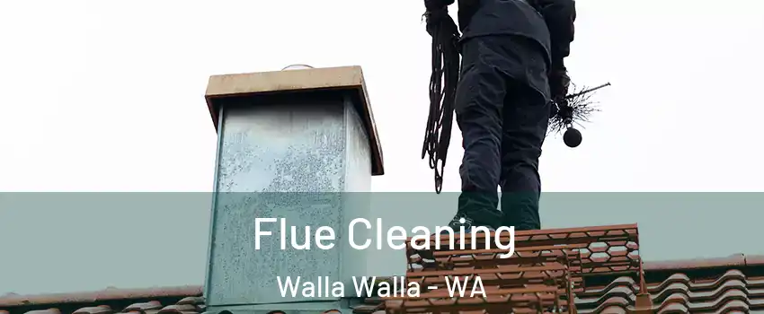 Flue Cleaning Walla Walla - WA