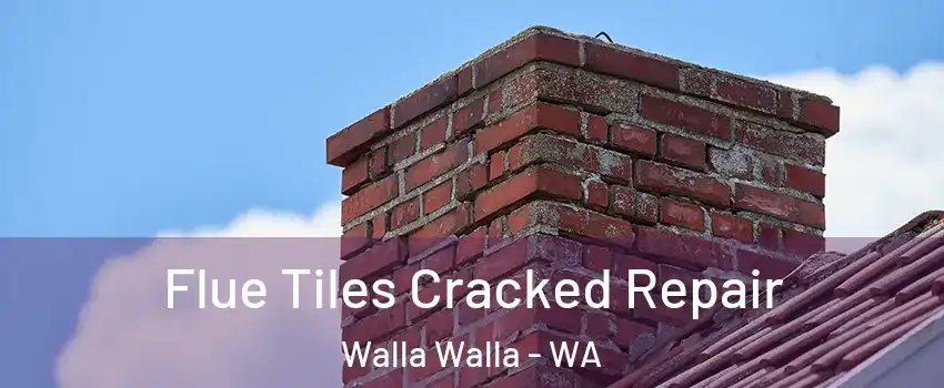  Flue Tiles Cracked Repair Walla Walla - WA