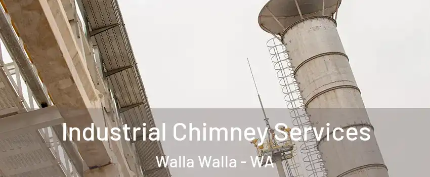  Industrial Chimney Services Walla Walla - WA