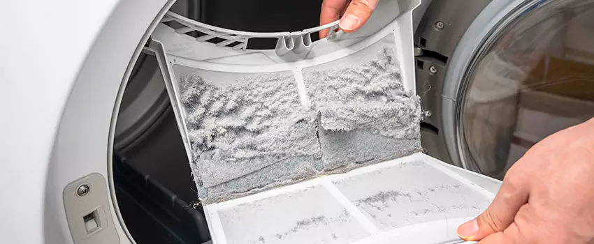 Best Dryer Lint Removal Company in Walla Walla, Washington