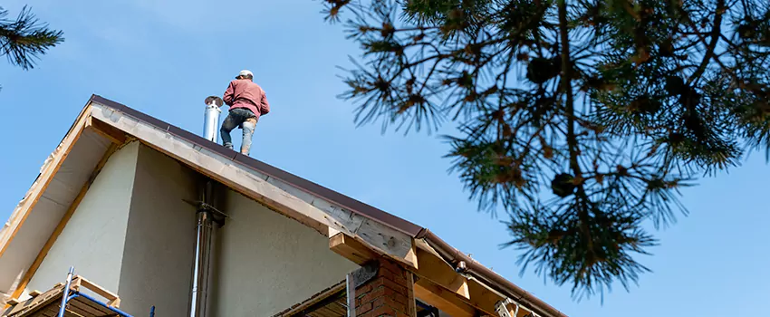 Birds Removal Contractors from Chimney in Walla Walla, WA