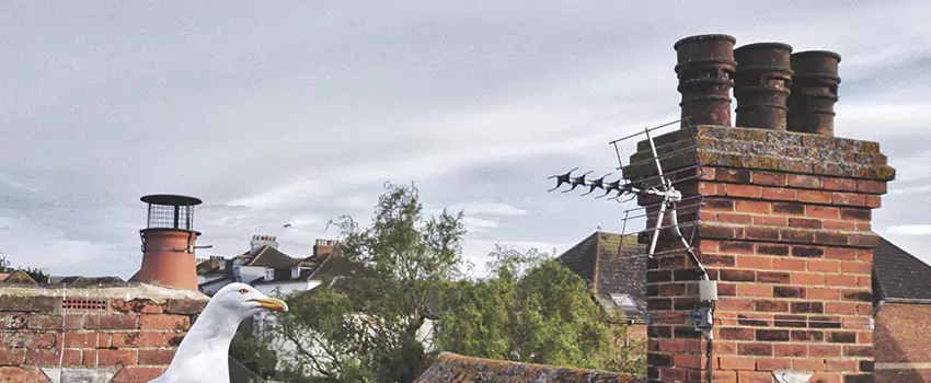 Chimney Cleaning And Restoration in Walla Walla, Washington