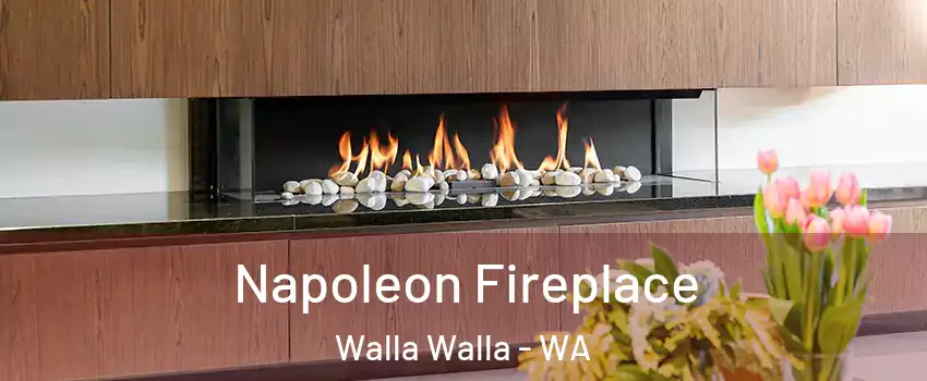  Napoleon Fireplace Walla Walla - WA