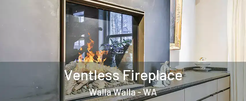  Ventless Fireplace Walla Walla - WA